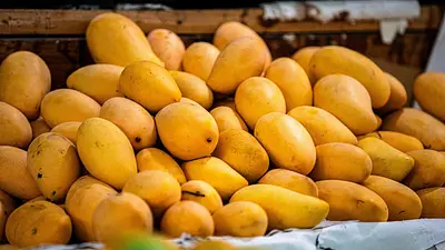 Mango a przyrost masy ciała – fakty i mity o kaloriach