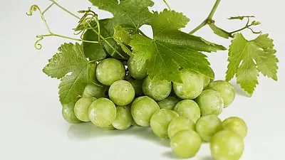 Czy pistacje tuczą? Fakty o kaloriach i zdrowiu