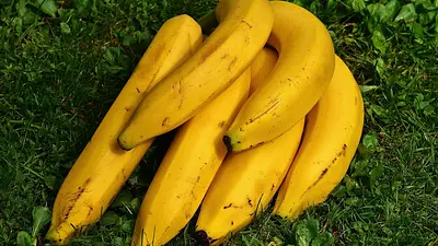 Czy banany tuczą? Fakty o kaloriach i diecie z bananami